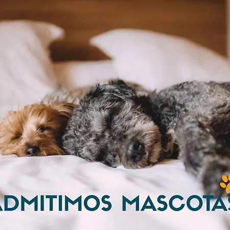 La Marina Sunset 3000 דירה סוטו דה לה מרינה