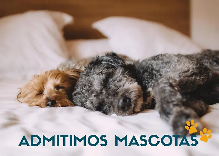 La Marina Sunset 3000 アパート ソト・デ・ラ・マリーナ